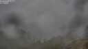 ./images/calvert/foggy-cove/20250701/foggy-cove20250701_075010M.jpg