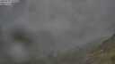 ./images/calvert/foggy-cove/20250701/foggy-cove20250701_075510M.jpg