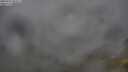 ./images/calvert/foggy-cove/20250701/foggy-cove20250701_082006M.jpg