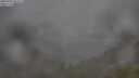 ./images/calvert/foggy-cove/20250701/foggy-cove20250701_082508M.jpg