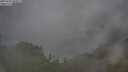 ./images/calvert/foggy-cove/20250701/foggy-cove20250701_083011M.jpg