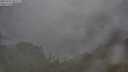 ./images/calvert/foggy-cove/20250701/foggy-cove20250701_083509M.jpg