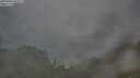 ./images/calvert/foggy-cove/20250701/foggy-cove20250701_084011M.jpg