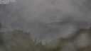 ./images/calvert/foggy-cove/20250701/foggy-cove20250701_084510M.jpg