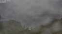 ./images/calvert/foggy-cove/20250701/foggy-cove20250701_085010M.jpg