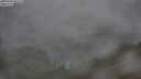 ./images/calvert/foggy-cove/20250701/foggy-cove20250701_085510M.jpg
