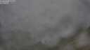 ./images/calvert/foggy-cove/20250701/foggy-cove20250701_090011M.jpg
