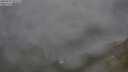 ./images/calvert/foggy-cove/20250701/foggy-cove20250701_090510M.jpg