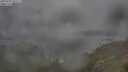 ./images/calvert/foggy-cove/20250701/foggy-cove20250701_091511M.jpg