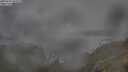 ./images/calvert/foggy-cove/20250701/foggy-cove20250701_092010M.jpg
