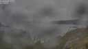./images/calvert/foggy-cove/20250701/foggy-cove20250701_092510M.jpg