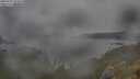 ./images/calvert/foggy-cove/20250701/foggy-cove20250701_093010M.jpg