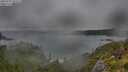 ./images/calvert/foggy-cove/20250701/foggy-cove20250701_101008M.jpg