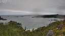 ./images/calvert/foggy-cove/20250701/foggy-cove20250701_110510M.jpg