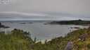 ./images/calvert/foggy-cove/20250701/foggy-cove20250701_111511M.jpg