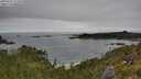 ./images/calvert/foggy-cove/20250701/foggy-cove20250701_113510M.jpg