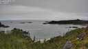 ./images/calvert/foggy-cove/20250701/foggy-cove20250701_114009M.jpg
