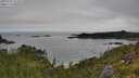 ./images/calvert/foggy-cove/20250701/foggy-cove20250701_114509M.jpg