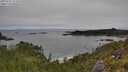 ./images/calvert/foggy-cove/20250701/foggy-cove20250701_115508M.jpg