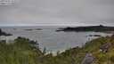 ./images/calvert/foggy-cove/20250701/foggy-cove20250701_120509M.jpg