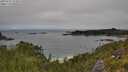 ./images/calvert/foggy-cove/20250701/foggy-cove20250701_122008M.jpg