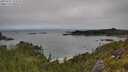 ./images/calvert/foggy-cove/20250701/foggy-cove20250701_122508M.jpg