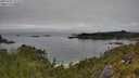 ./images/calvert/foggy-cove/20250701/foggy-cove20250701_125510M.jpg