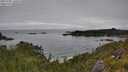 ./images/calvert/foggy-cove/20250701/foggy-cove20250701_130508M.jpg