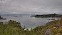./images/calvert/foggy-cove/20250701/foggy-cove20250701_132508M.jpg