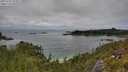 ./images/calvert/foggy-cove/20250701/foggy-cove20250701_133507M.jpg