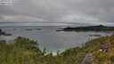 ./images/calvert/foggy-cove/20250701/foggy-cove20250701_135010M.jpg