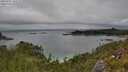 ./images/calvert/foggy-cove/20250701/foggy-cove20250701_140508M.jpg