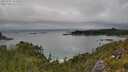 ./images/calvert/foggy-cove/20250701/foggy-cove20250701_141010M.jpg