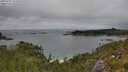 ./images/calvert/foggy-cove/20250701/foggy-cove20250701_142010M.jpg