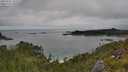 ./images/calvert/foggy-cove/20250701/foggy-cove20250701_142508M.jpg