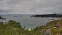 ./images/calvert/foggy-cove/20250701/foggy-cove20250701_143009M.jpg