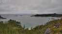 ./images/calvert/foggy-cove/20250701/foggy-cove20250701_143509M.jpg