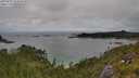./images/calvert/foggy-cove/20250701/foggy-cove20250701_144510M.jpg