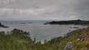 ./images/calvert/foggy-cove/20250701/foggy-cove20250701_145510M.jpg