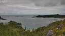 ./images/calvert/foggy-cove/20250701/foggy-cove20250701_152010M.jpg