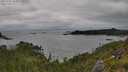 ./images/calvert/foggy-cove/20250701/foggy-cove20250701_162009M.jpg