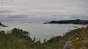 ./images/calvert/foggy-cove/20250701/foggy-cove20250701_164010M.jpg