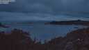 ./images/calvert/foggy-cove/20250702/foggy-cove20250702_043508M.jpg