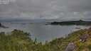 ./images/calvert/foggy-cove/20250702/foggy-cove20250702_061010M.jpg