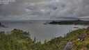 ./images/calvert/foggy-cove/20250702/foggy-cove20250702_064009M.jpg