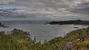 ./images/calvert/foggy-cove/20250702/foggy-cove20250702_073509M.jpg