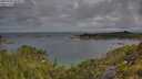 ./images/calvert/foggy-cove/20250702/foggy-cove20250702_083011M.jpg