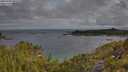 ./images/calvert/foggy-cove/20250702/foggy-cove20250702_083510M.jpg