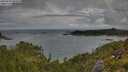 ./images/calvert/foggy-cove/20250702/foggy-cove20250702_084010M.jpg