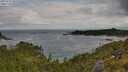 ./images/calvert/foggy-cove/20250702/foggy-cove20250702_085510M.jpg